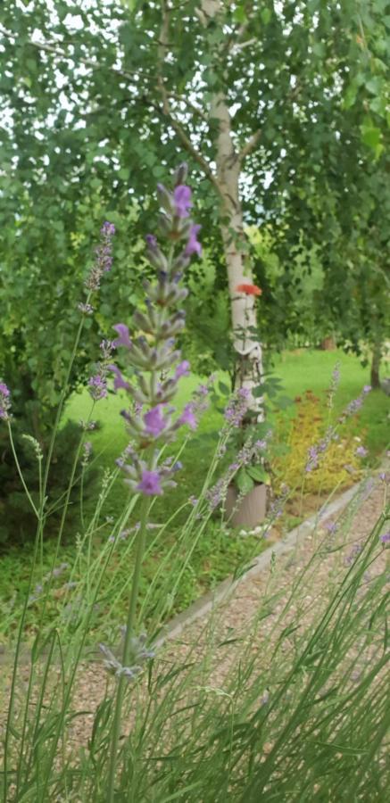 Green Garden Lohovo Bihac Luaran gambar